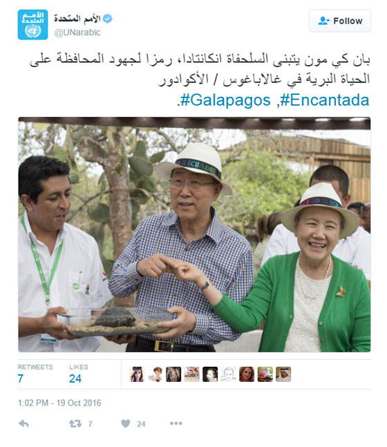  الامين العام للأمم المتحدة بان كي مون يتبنى طفل السلحفاة العملاقة! صورة رقم 1