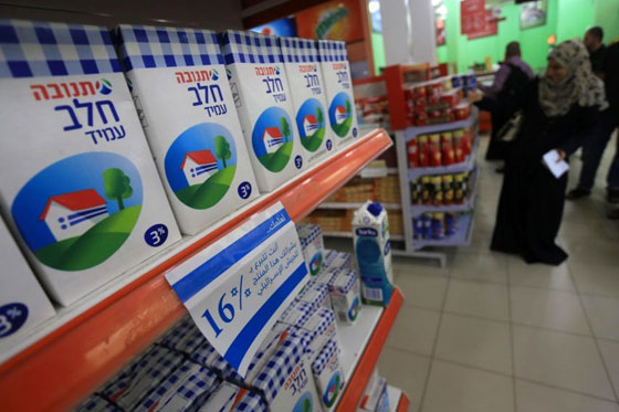 منتجات غذائية اسرائيلية فاسدة وملوثة ومسرطنة تباع في الاسواق الفلسطينية! صورة رقم 6