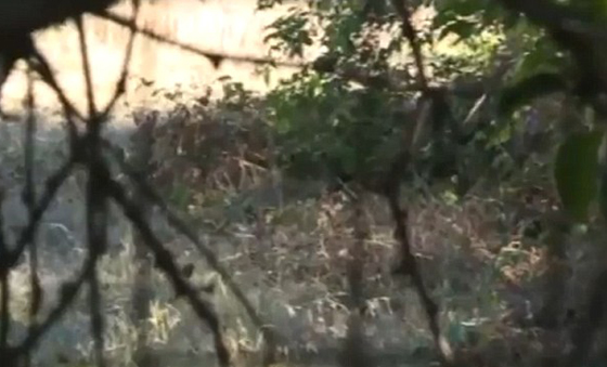 ما سر المرأة التي تحمل جمجمة على عصا في كاليفورنيا؟ فيديو وصور صورة رقم 3 ما سر المرأة التي تحمل جمجمة على عصا في كاليفورنيا؟ فيديو وصور صورة رقم 3