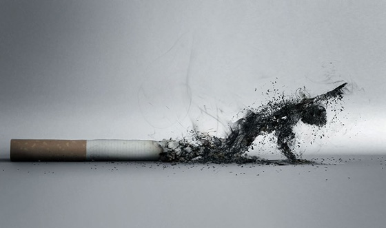 تركمانستان: أول دولة في العالم تسن قانون يمنع السجائر نهائيا صورة رقم 1 تركمانستان: أول دولة في العالم تسن قانون يمنع السجائر نهائيا صورة رقم 1