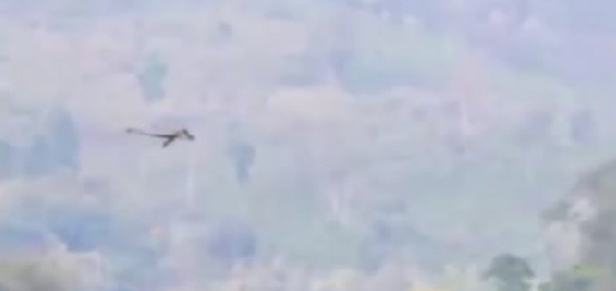 فيديو غريب: تنين يطبر فوق غابات الصين! هل هو ديناصور ام سحلية مجنحة؟ صورة رقم 1 فيديو غريب: تنين يطبر فوق غابات الصين! هل هو ديناصور ام سحلية مجنحة؟ صورة رقم 1