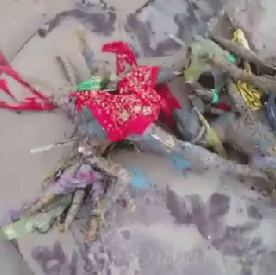 العثور على اقوى انواع السحر الاسود في قاع البحر بالامارات.. فيديو صورة رقم 2