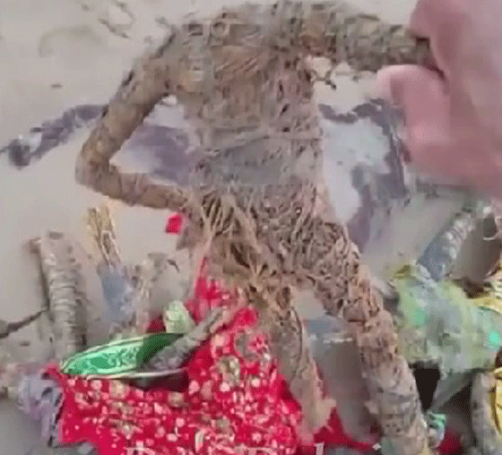 العثور على اقوى انواع السحر الاسود في قاع البحر بالامارات.. فيديو صورة رقم 4