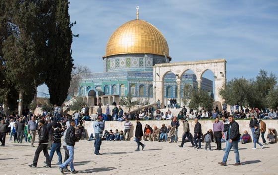 نتنياهو يدعو كل اسرائيلي للمشاركة بالحفريات تحت الاقصى واولهم هو! صورة رقم 7 نتنياهو يدعو كل اسرائيلي للمشاركة بالحفريات تحت الاقصى واولهم هو! صورة رقم 7