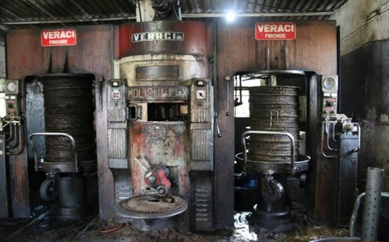 فيديو وصور اقدم معصرة زيتون في غزة ما زالت تعمل صورة رقم 1