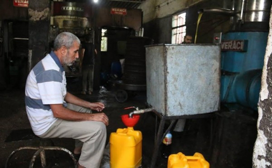 فيديو وصور اقدم معصرة زيتون في غزة ما زالت تعمل صورة رقم 2