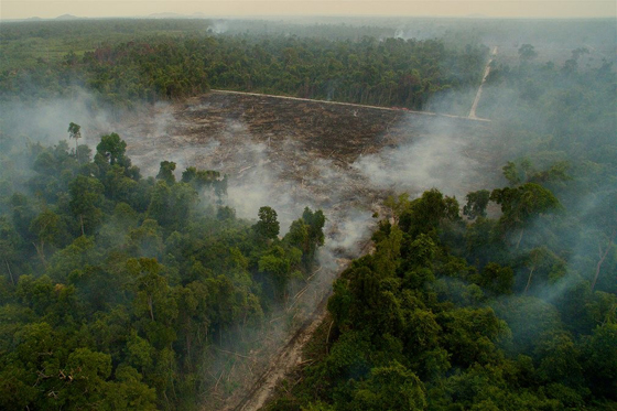 مجموعة صور من مسابقة مصور الحياة البرية 2016 والفائز امريكي  صورة رقم 4