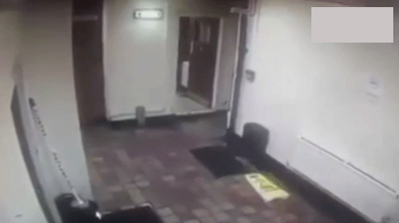 كاميرا ترصد عفريتا في حانة يحرك الاشياء ويثير الفزع.. فيديو صورة رقم 2 كاميرا ترصد عفريتا في حانة يحرك الاشياء ويثير الفزع.. فيديو صورة رقم 2