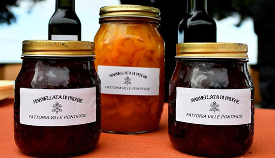 البابا فرانسيس يفتح منتجعه الصيفي الفخم ويفتح قلبه مرحّبا بزائري المكان صورة رقم 9