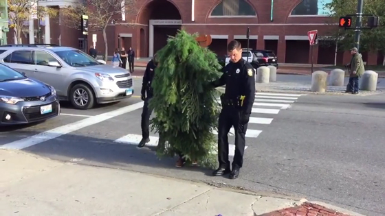 اعتقال شجرة متحركة وهي تعبر الشارع وتراقب رد فعل السائقين! فيديو صورة رقم 3