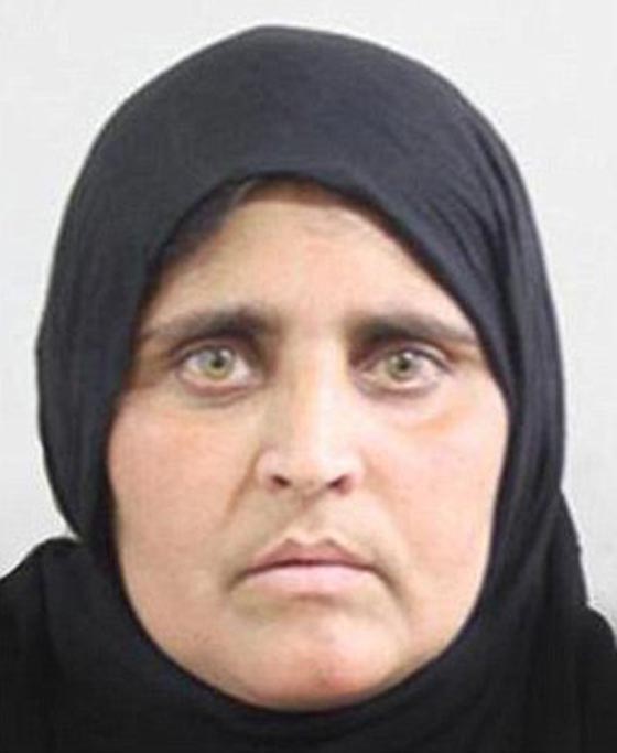 ما هو سبب اعتقال الفتاة الافغانية صاحبة أشهر صورة بالقرن العشرين؟ صورة رقم 3