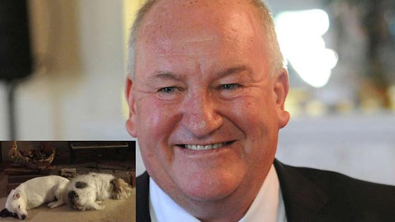  وزير استرالي ينقل كلابه في سيارة برلمانية ويعتذر بعد فضح الامر! صورة رقم 3