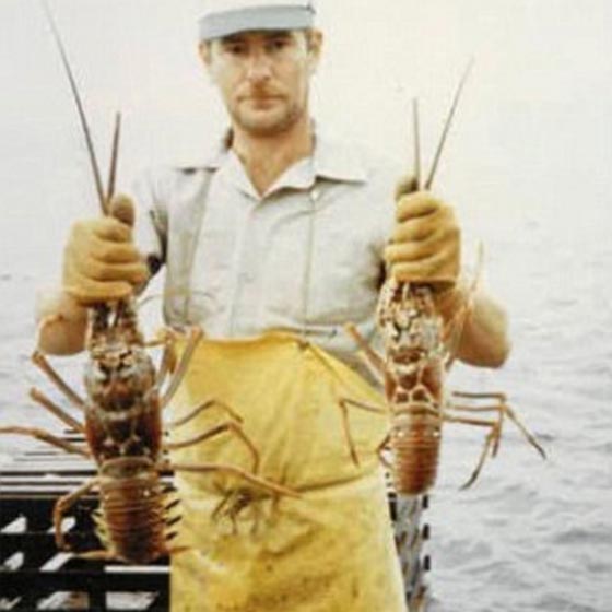 بعد اعلان وفاته.. زوجة تكتشف ان زوجها يعيش مع اخرى بهوية مزيفة صورة رقم 4