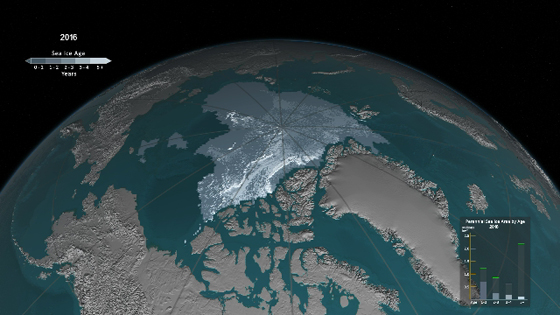  فيديو يظهر تراجع كميات الثلوج في القطب الشمالي خلال العقود الاخيرة صورة رقم 3