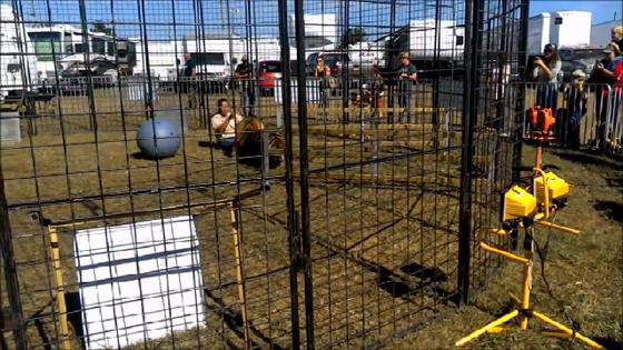 فيديو مثير.. نمر يهاجم مدربته داخل قفص وسط ذهول المتفرجين صورة رقم 3