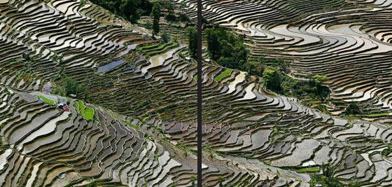 ادوارد بورتاينسكي.. مصور الطبيعة من الجو قبل غوغل ايرث! صور صورة رقم 4