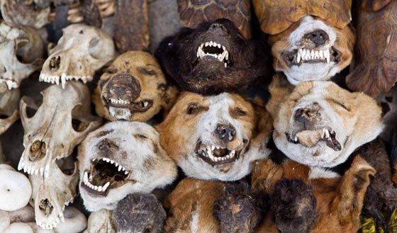 هذه هي الاماكن الاكثر رعبا في العالم.. شاهدها بالصور صورة رقم 6