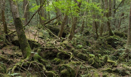 هذه هي الاماكن الاكثر رعبا في العالم.. شاهدها بالصور صورة رقم 5