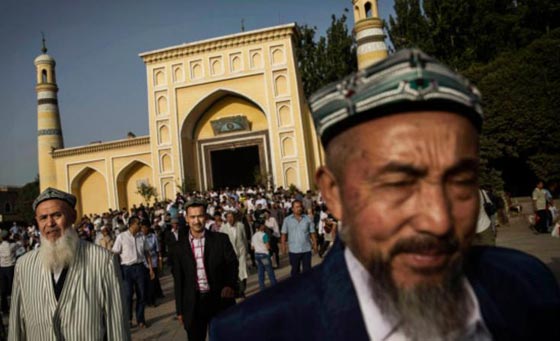 هجوم شديد على صيني مسلم طالب شركة (علي بابا) بألغاء اسم (الخنزير) صورة رقم 5