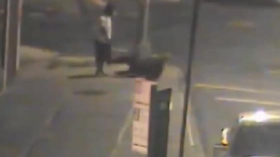  فيديو صادم: لكمة قاسية في رأس امريكي تحولت إلى جريمة قتل صورة رقم 5