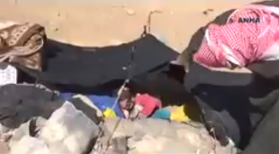 العريفي يغرد: اين المسلمون ومؤسساتهم من مآسي اهالي الموصل؟ صورة رقم 6