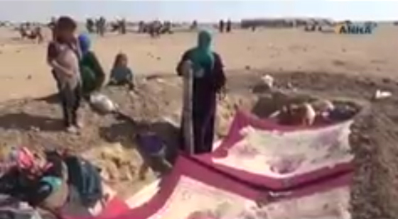 العريفي يغرد: اين المسلمون ومؤسساتهم من مآسي اهالي الموصل؟ صورة رقم 7