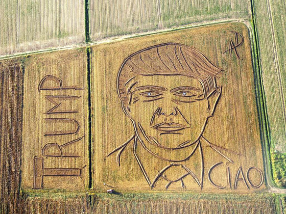 فيديو وصور.. وجه ترامب على 60 الف متر مربع من القمح بايطاليا صورة رقم 1