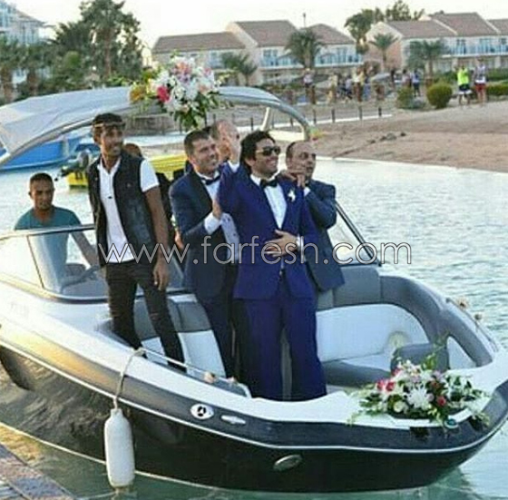5 ازمات واجهت حفل زفاف حسن الرداد وايمي سمير غانم صورة رقم 1