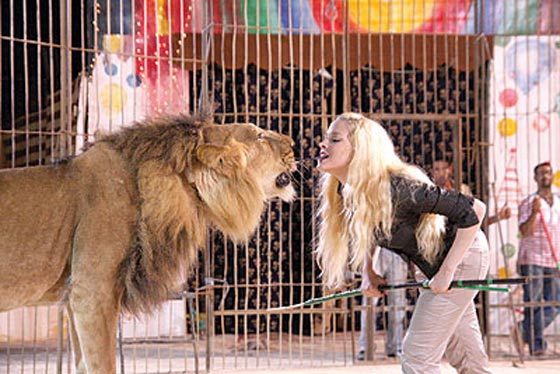 نساء مصريات تحدين الرجال بحراسة الامن وترويض الاسود وكمال الاجسام صورة رقم 11