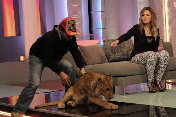 نساء مصريات تحدين الرجال بحراسة الامن وترويض الاسود وكمال الاجسام صورة رقم 16