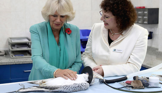 فريق حراسة من 5 نساء يرافق زوجة الامير تشارلز في ابو ظبي.. صور صورة رقم 5