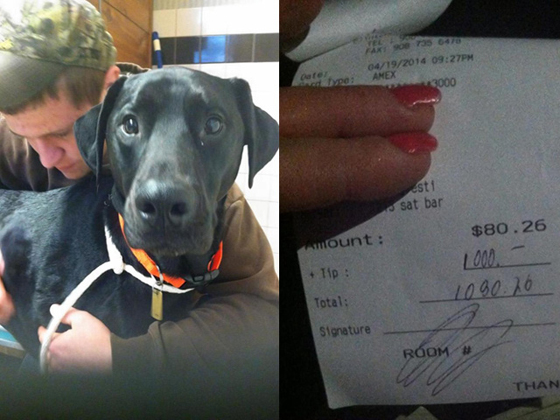 زبائن مطعم تركوا اكرامية بقيمة الف دولار لكلب النادلة.. ما السبب؟ صورة رقم 2