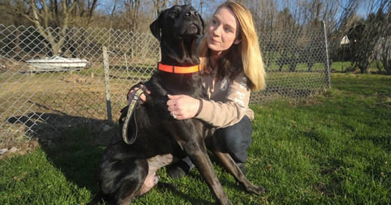 زبائن مطعم تركوا اكرامية بقيمة الف دولار لكلب النادلة.. ما السبب؟ صورة رقم 11