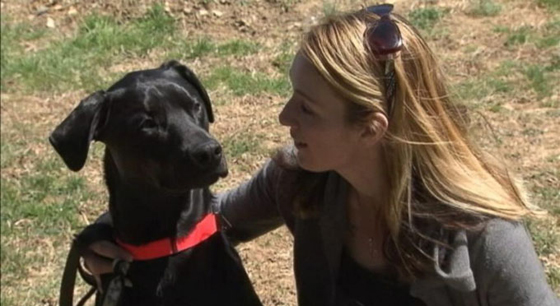 زبائن مطعم تركوا اكرامية بقيمة الف دولار لكلب النادلة.. ما السبب؟ صورة رقم 10