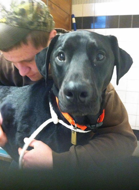 زبائن مطعم تركوا اكرامية بقيمة الف دولار لكلب النادلة.. ما السبب؟ صورة رقم 4