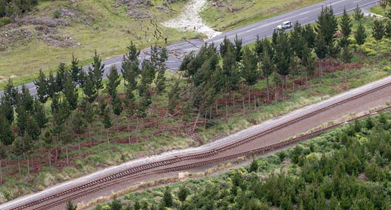  صور صادمة..ما خلفه زلزال  نيوزلندا من دمار هائل  صورة رقم 6