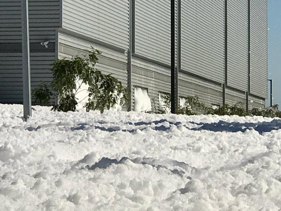 فيديو غريب: رغوة بيضاء غامضة تجتاح شوارع كاليفورنيا! صورة رقم 1