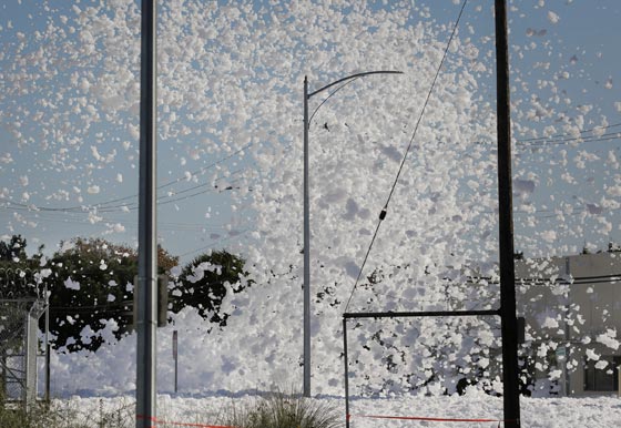 فيديو غريب: رغوة بيضاء غامضة تجتاح شوارع كاليفورنيا! صورة رقم 4