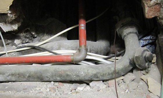 صور قصر باكينغهام: الترميم سيكلف حوالي 370 مليون حنيه استرليني! صورة رقم 9