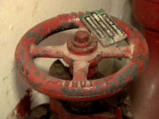 صور قصر باكينغهام: الترميم سيكلف حوالي 370 مليون حنيه استرليني! صورة رقم 10