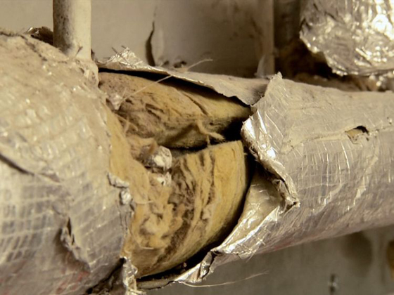 صور قصر باكينغهام: الترميم سيكلف حوالي 370 مليون حنيه استرليني! صورة رقم 11