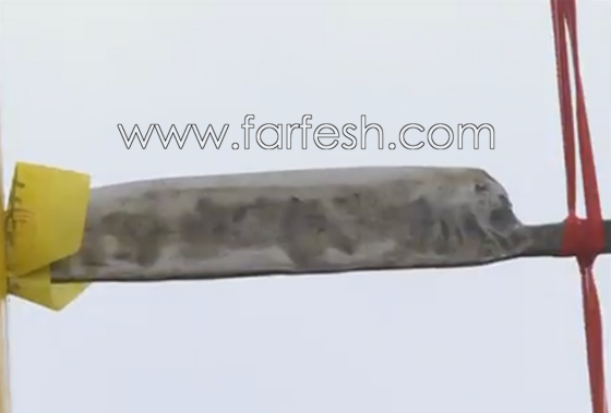 بالفيديو: صينيون يتسلقون (السلم الغادر) المصمم من 36 شفرة حادة صورة رقم 5