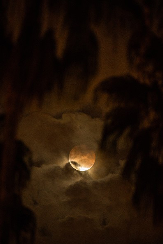  لغز (النقطتين) ليلة اكتمال القمر: هل عادت الكائنات الفضائية؟ صورة رقم 1