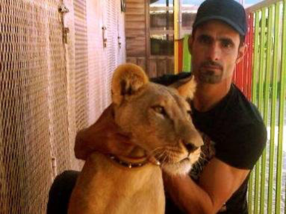  فيديو مرعب: نمر يهجم بشراسة على طفلة سعودية صورة رقم 1