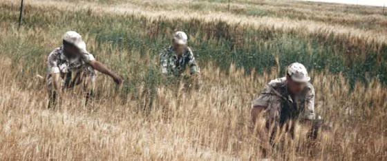 لقطات مسرّبة لطبيعة الحياة المؤلمة داخل ثكنة عسكرية للجيش المصري صورة رقم 2