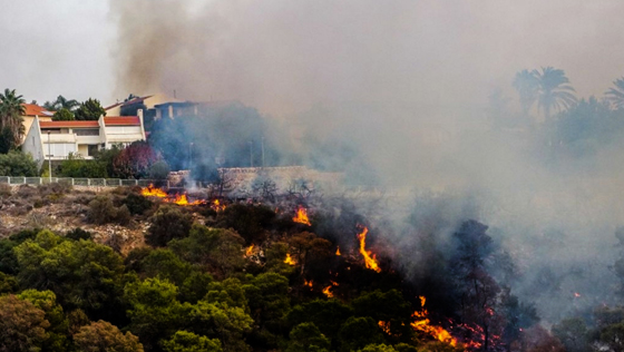 صور حرائق ضخمة بإسرائيل وشكوك في كونها متعمدة صورة رقم 4