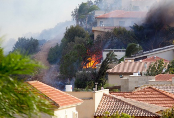 صور حرائق ضخمة بإسرائيل وشكوك في كونها متعمدة صورة رقم 7