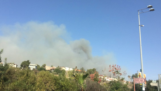 صور حرائق ضخمة بإسرائيل وشكوك في كونها متعمدة صورة رقم 9