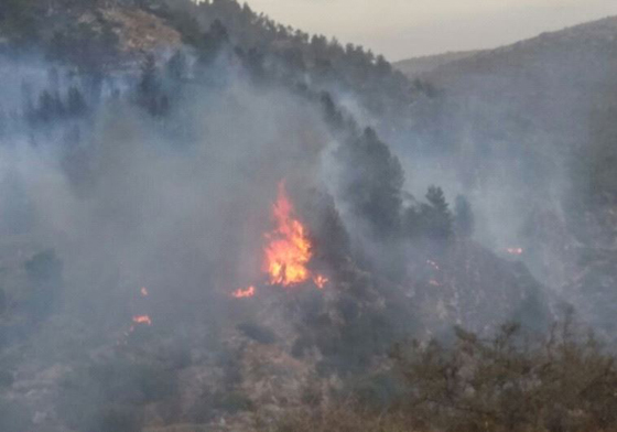 صور حرائق ضخمة بإسرائيل وشكوك في كونها متعمدة صورة رقم 14