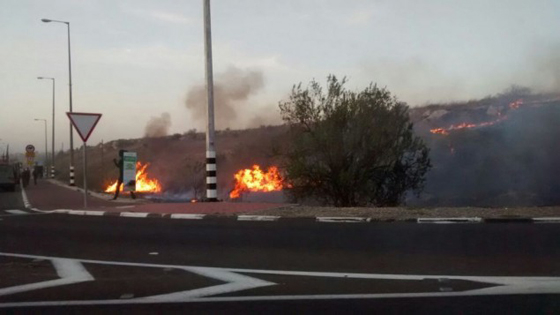 صور حرائق ضخمة بإسرائيل وشكوك في كونها متعمدة صورة رقم 16